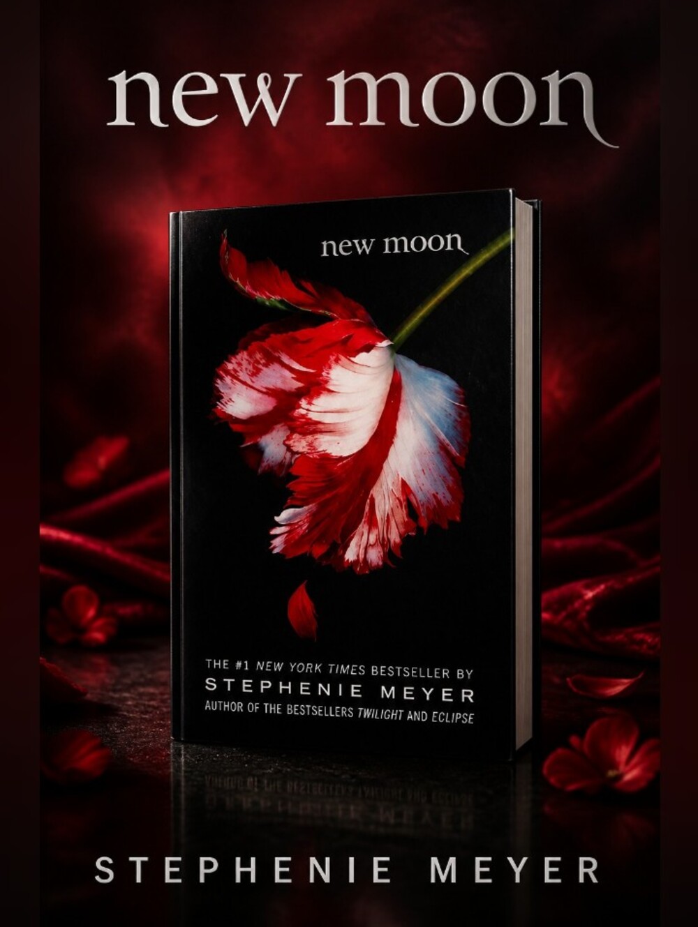𝐒𝐭𝐞𝐩𝐡𝐚𝐧𝐢𝐞𝐌𝐞𝐲𝐞𝐫 "𝐍𝐞𝐰 𝐌𝐨𝐨𝐧" 𝐁𝐨𝐨𝐤 𝟐 𝐨𝐟 𝟓🟡